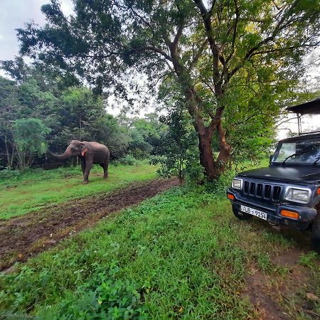 Hostel -In Frant Of The National Park- Udawalawe Esterno foto