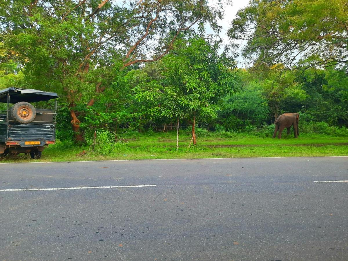 Hostel -In Frant Of The National Park- Udawalawe Esterno foto