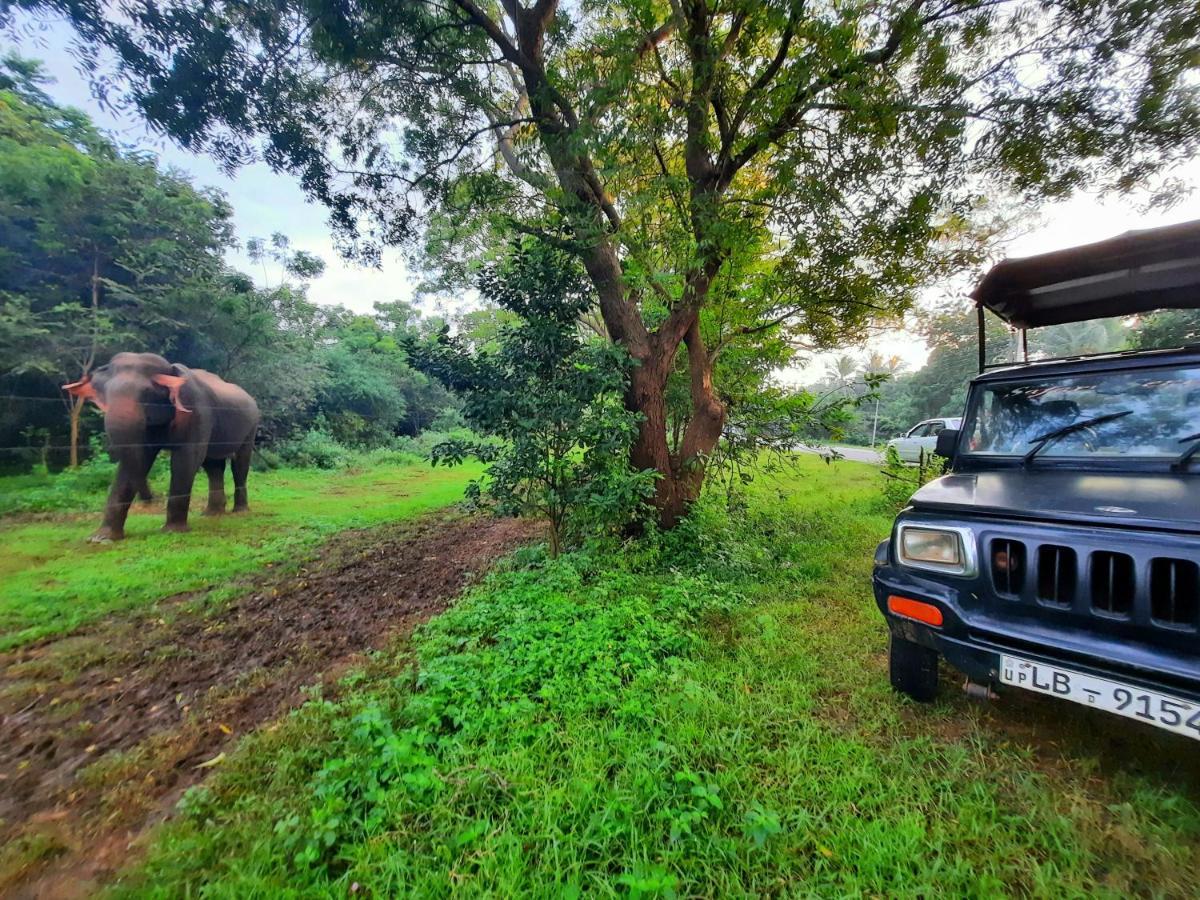 Hostel -In Frant Of The National Park- Udawalawe Esterno foto